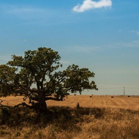 Vales Do Alentejo Guest House Bicos Luaran gambar